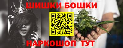 spice Гусиноозёрск